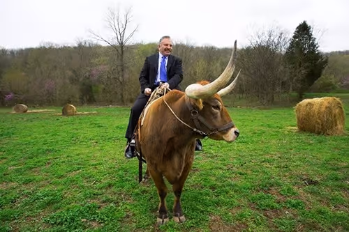 Trial Attorneys Image