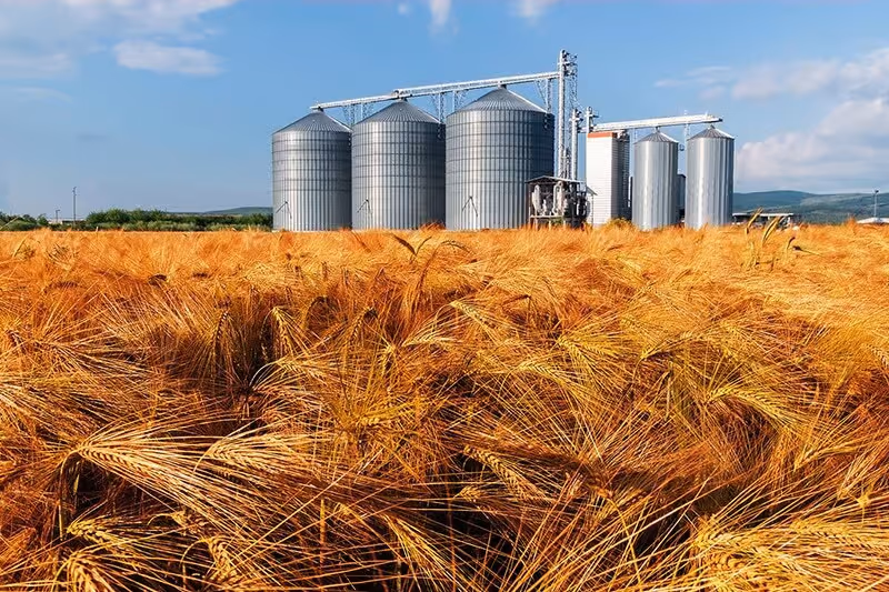 5 of the Most Common Farming Accidents, 2021 Image